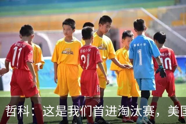 哲科：这是我们首进淘汰赛，美国是东道主但波黑走到这绝非偶然